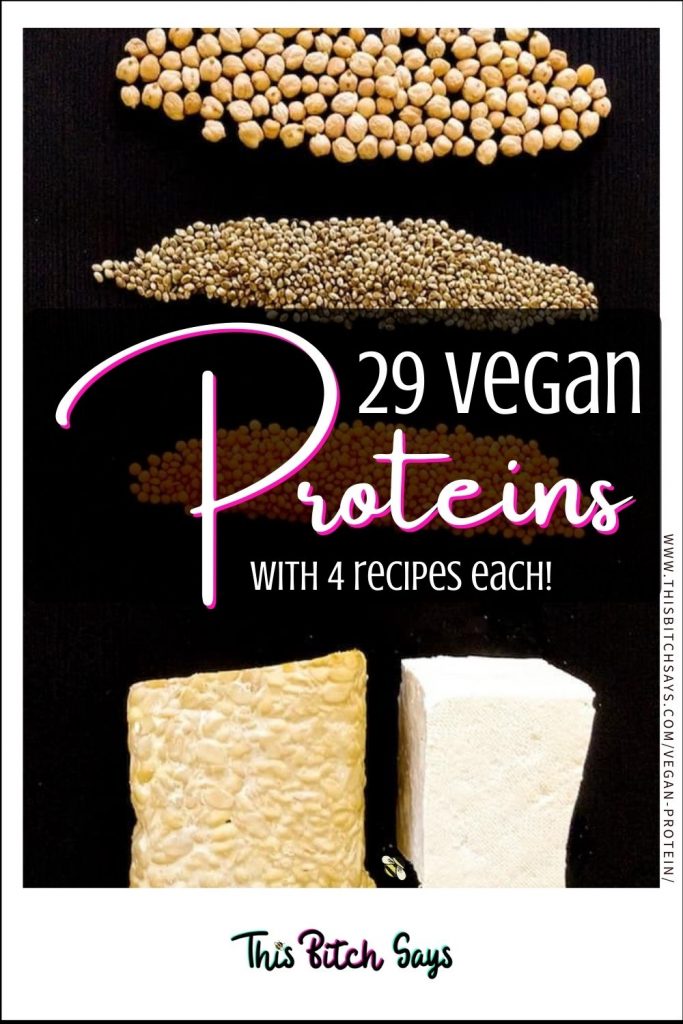 CLICK FOR: 29 vegan proteins (with 4 recipes each)