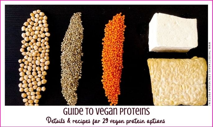 feature: Guide to Vegan Proteins (details & recipes for 29 vegan protein options)