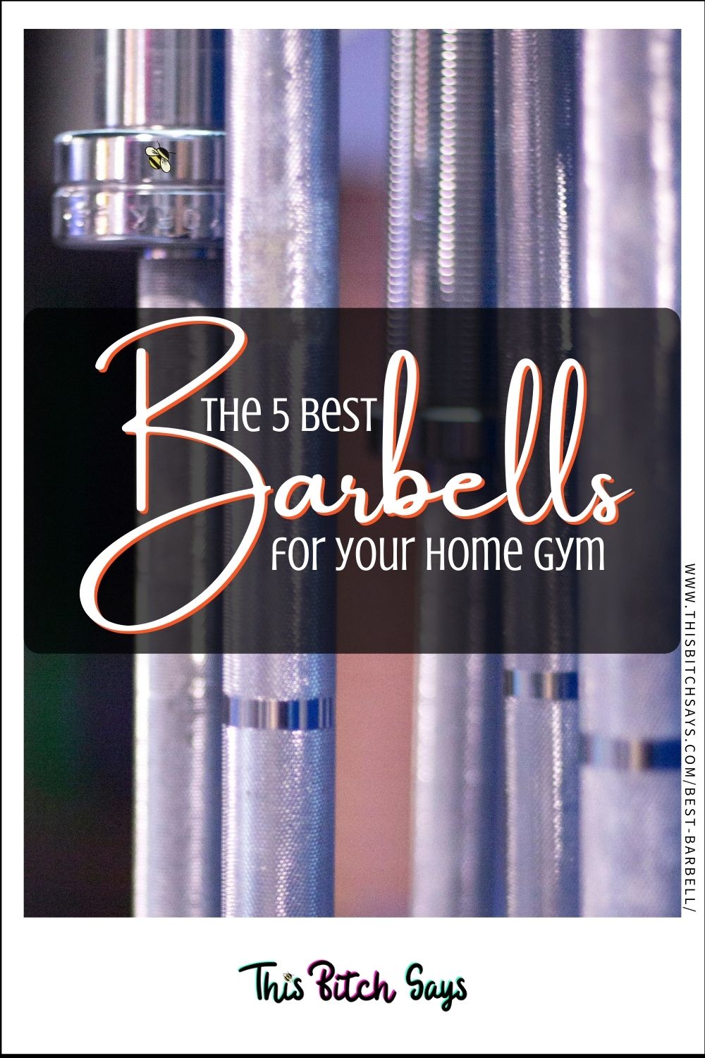 CLICK FOR: the 5 best barbells for your home gym