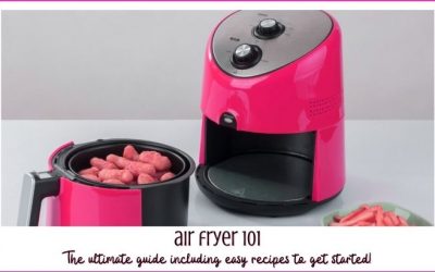 Ultimate Air Fryer Guide [how to use, tips, & 11+ easy Air Fryer Recipes]