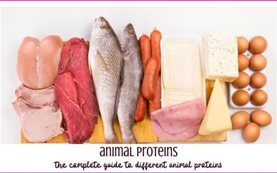 Keto, Paleo & Mediterranean Diet Food List: Animal Protein