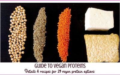 29 Vegan Proteins {your ULTIMATE Guide}