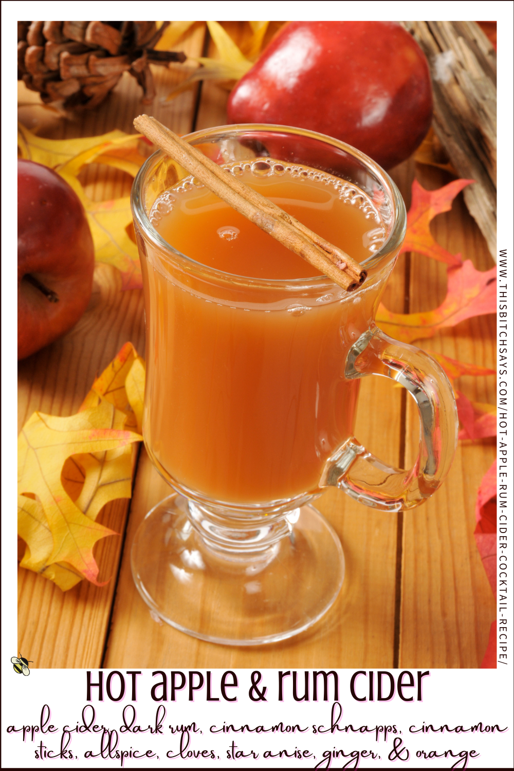 Hot Apple And Rum Cider Cocktail Recipe {rum 210 Cal} This Bitch Says
